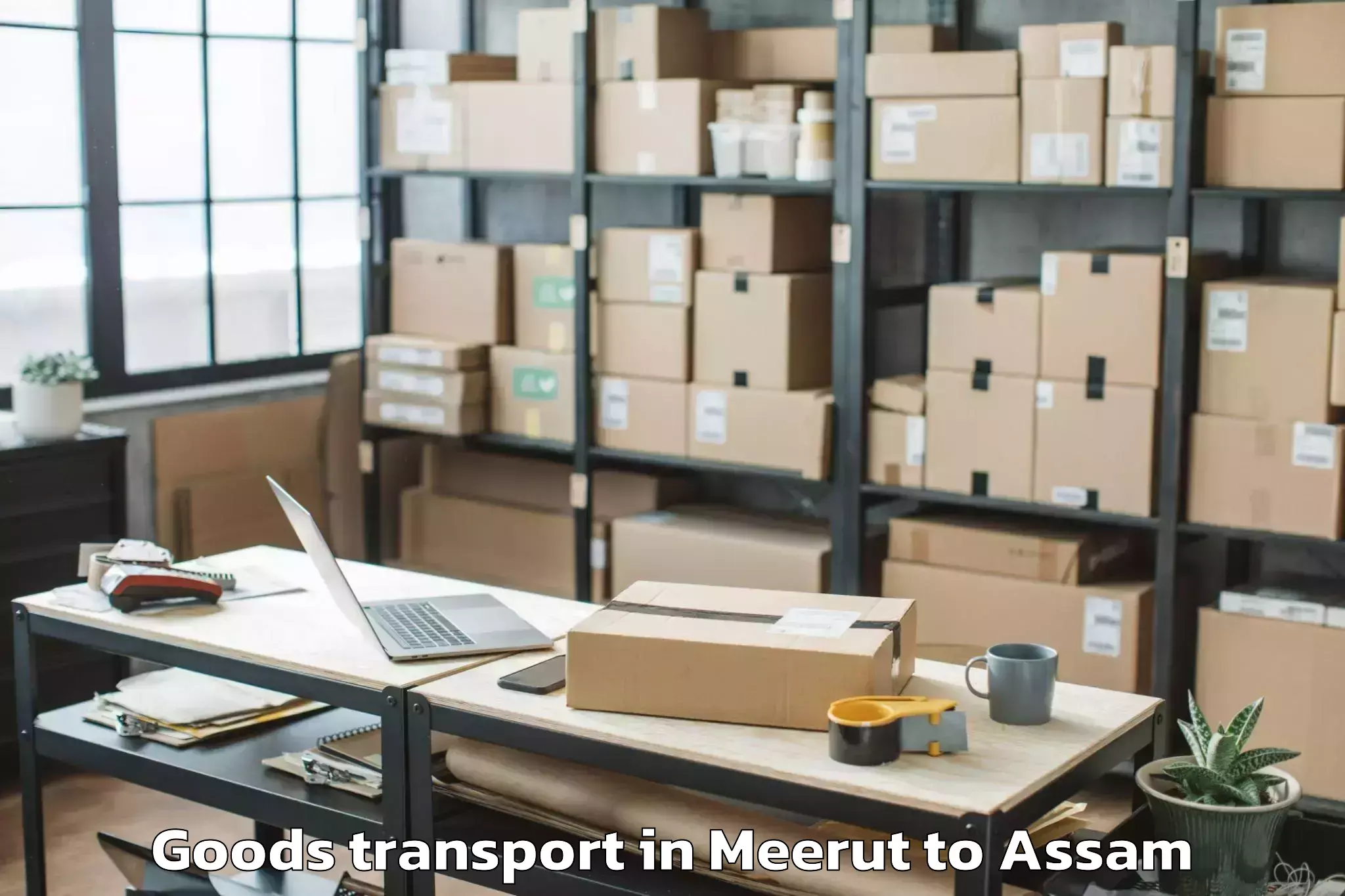 Trusted Meerut to Borholla Goods Transport